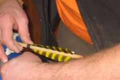 Bogenbaukurs 2014