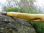 Turnierbogen Osage