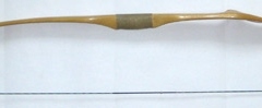 Astlochbogen, Robinie