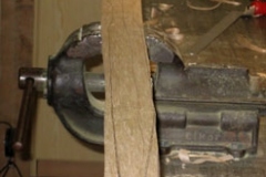 Recurvebogen, Ulme