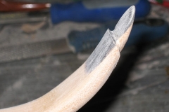 Bogenbau Haider, Recurvebogen, Ulme