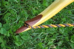 Turnierbogen, Osage